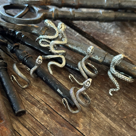 Snake Canyon Ring - Sterling Silver